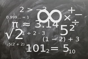 星空体育官网下载入口-中小学体育教师教学技能提升研究，中小学体育教学的基本技能