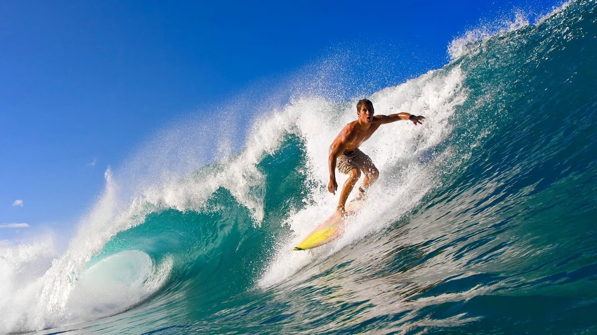 _绿军队员拼尽全力，险胜对手_，绿军的阵容