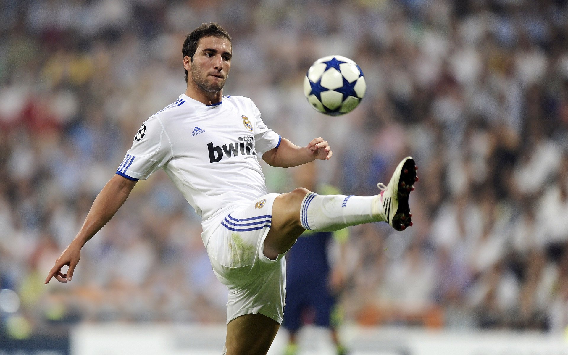 共同的梦想：车手与团队的拼搏瞬间，车手的意义