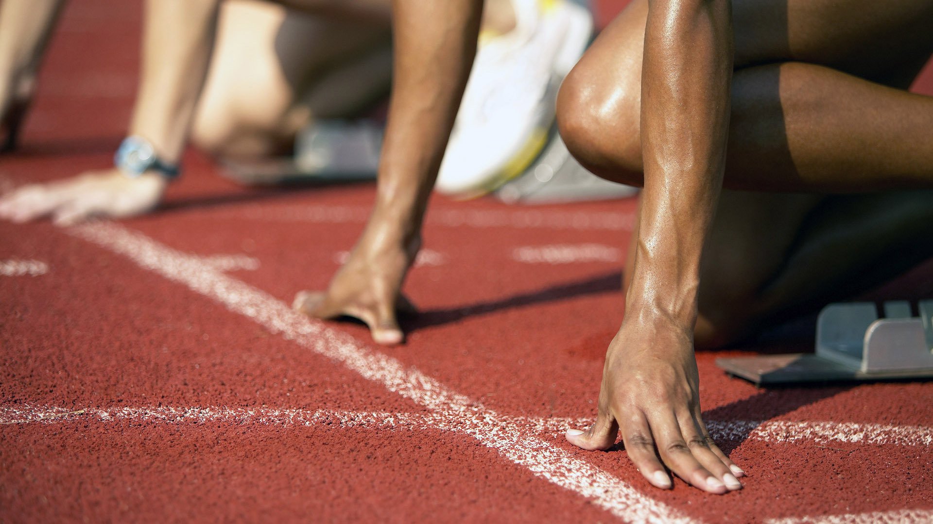 比利时马术协会建立马匹基因数据库,促进马匹选育与训练。,比利时的马